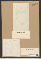 Triceratium notabile Grev. (de-Toni-Nr.: Genus 140, Species 3952) Zeichnungen Sammlung Grunow Nr. 7433 (NHMW-BOT-W0376517)